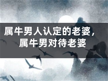 属牛男人认定的老婆，属牛男对待老婆