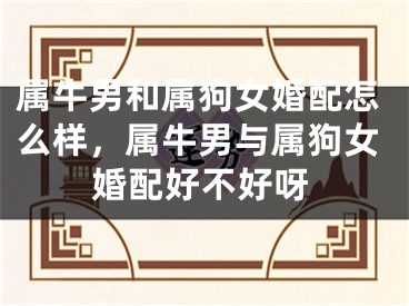 属牛男和属狗女婚配怎么样,属牛男与属狗女婚配好不好呀