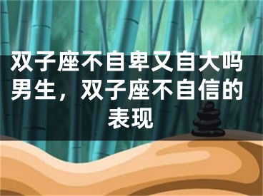 双子座不自卑又自大吗男生，双子座不自信的表现