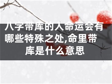八字带库的人命运会有哪些特殊之处,命里带库是什么意思