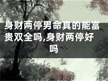 身财两停男命真的能富贵双全吗,身财两停好吗