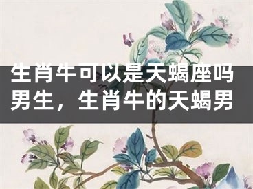 生肖牛可以是天蝎座吗男生，生肖牛的天蝎男