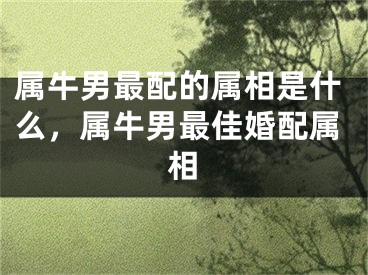 属牛男最配的属相是什么，属牛男最佳婚配属相