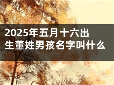 2025年五月十六出生董姓男孩名字叫什么