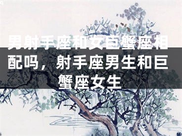 男射手座和女巨蟹座相配吗,射手座男生和巨蟹座女生