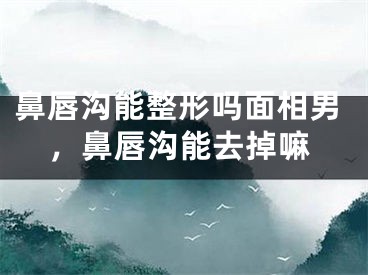 鼻唇沟能整形吗面相男，鼻唇沟能去掉嘛