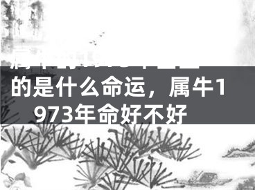 属牛的1973年出生的是什么命运,属牛1973年命好不好