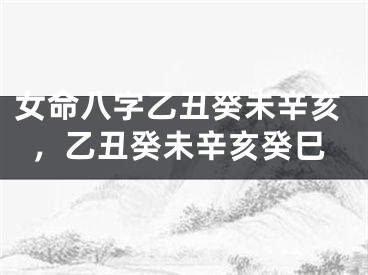 女命八字乙丑癸未辛亥,乙丑癸未辛亥癸巳