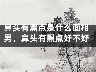 鼻头有黑点是什么面相男,鼻头有黑点好不好