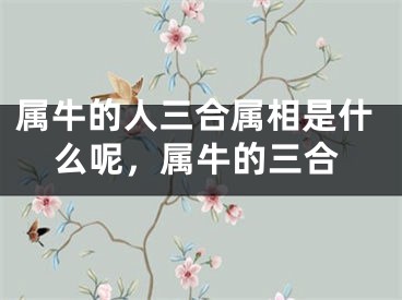 属牛的人三合属相是什么呢，属牛的三合