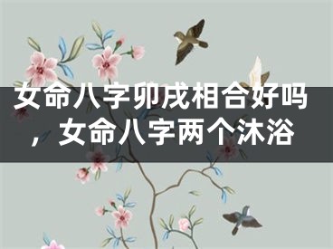女命八字卯戌相合好吗,女命八字两个沐浴