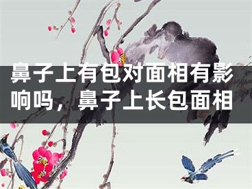 鼻子上有包对面相有影响吗,鼻子上长包面相