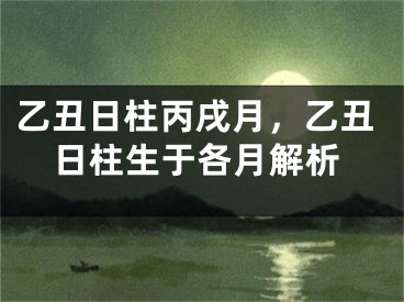 乙丑日柱丙戌月,乙丑日柱生于各月解析