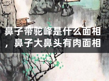 鼻子带驼峰是什么面相,鼻子大鼻头有肉面相