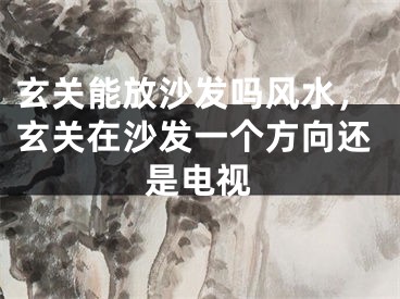 玄关能放沙发吗风水，玄关在沙发一个方向还是电视