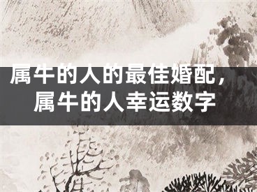 属牛的人的最佳婚配,属牛的人幸运数字