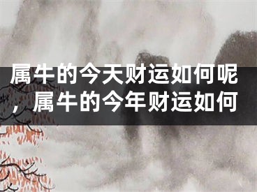 属牛的今天财运如何呢，属牛的今年财运如何