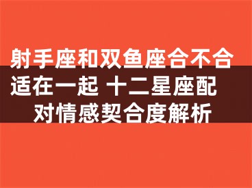 射手座和双鱼座合不合适在一起 十二星座配对情感契合度解析