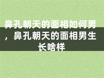 鼻孔朝天的面相如何男，鼻孔朝天的面相男生长啥样