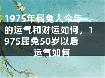 1975年属兔人今年的运气和财运如何,1975属兔50岁以后运气如何