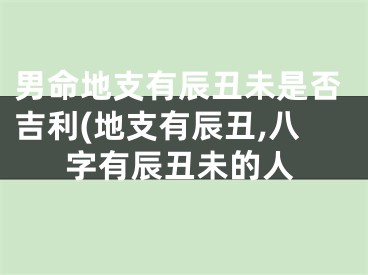 男命地支有辰丑未是否吉利(地支有辰丑,八字有辰丑未的人