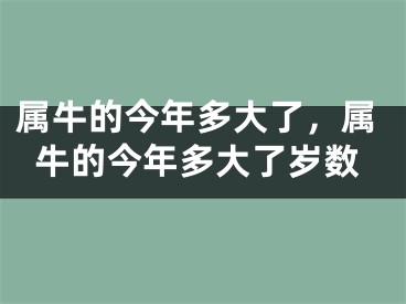 属牛的今年多大了,属牛的今年多大了岁数