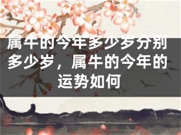 属牛的今年多少岁分别多少岁,属牛的今年的运势如何