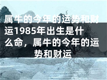 属牛的今年的运势和财运1985年出生是什么命,属牛的今年的运势和财运