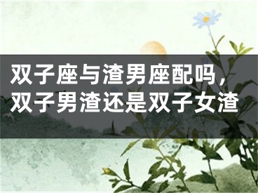 双子座与渣男座配吗,双子男渣还是双子女渣