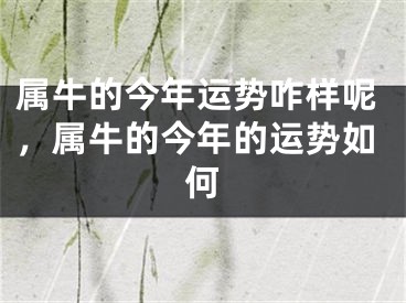 属牛的今年运势咋样呢，属牛的今年的运势如何