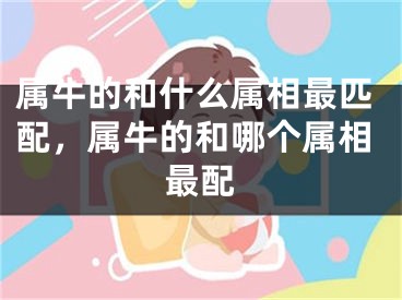 属牛的和什么属相最匹配,属牛的和哪个属相最配