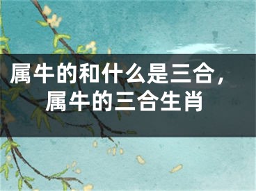 属牛的和什么是三合，属牛的三合生肖