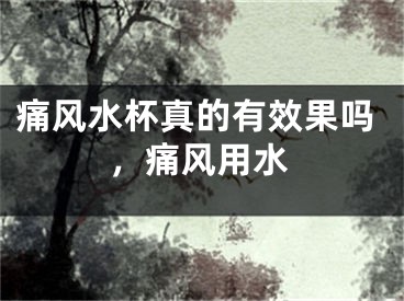 痛风水杯真的有效果吗，痛风用水