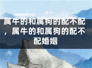 属牛的和属狗的配不配,属牛的和属狗的配不配婚姻