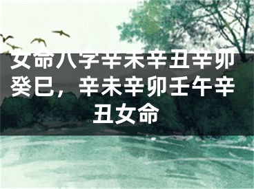 女命八字辛未辛丑辛卯癸巳,辛未辛卯壬午辛丑女命
