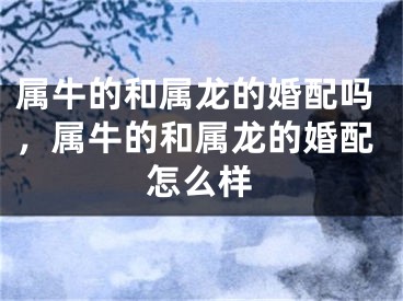 属牛的和属龙的婚配吗,属牛的和属龙的婚配怎么样