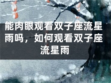 能肉眼观看双子座流星雨吗,如何观看双子座流星雨