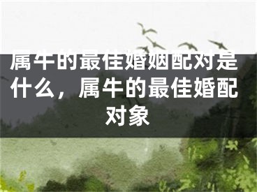 属牛的最佳婚姻配对是什么,属牛的最佳婚配对象