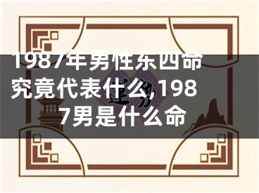 1987年男性东四命究竟代表什么,1987男是什么命