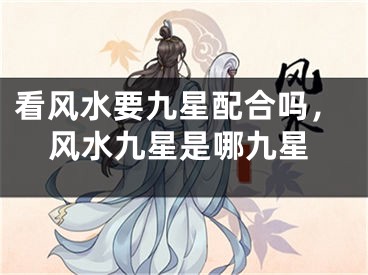 看风水要九星配合吗,风水九星是哪九星