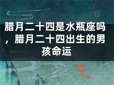 腊月二十四是水瓶座吗,腊月二十四出生的男孩命运