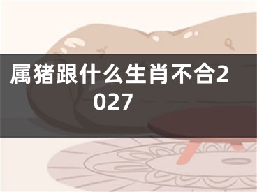 属猪跟什么生肖不合2027