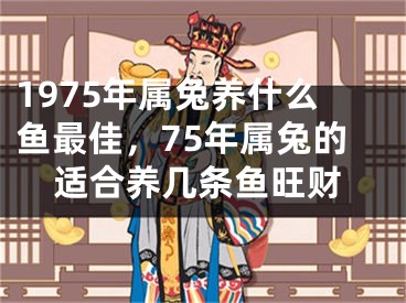1975年属兔养什么鱼最佳,75年属兔的适合养几条鱼旺财