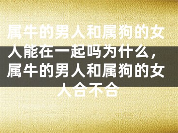 属牛的男人和属狗的女人能在一起吗为什么，属牛的男人和属狗的女人合不合