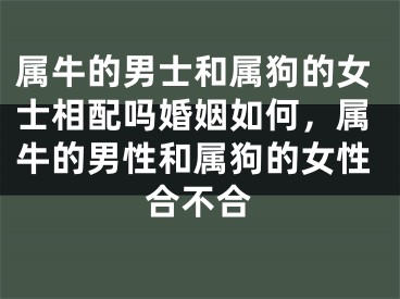 属牛的男士和属狗的女士相配吗婚姻如何,属牛的男性和属狗的女性合不合