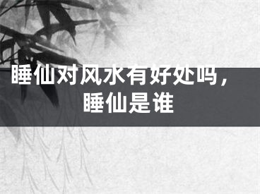 睡仙对风水有好处吗,睡仙是谁