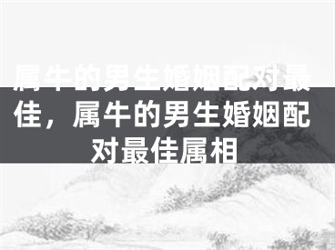 属牛的男生婚姻配对最佳,属牛的男生婚姻配对最佳属相