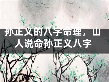 孙正义的八字命理，山人说命孙正义八字