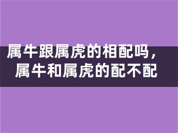 属牛跟属虎的相配吗,属牛和属虎的配不配
