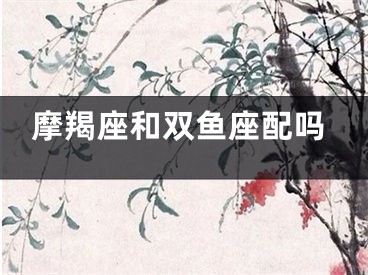 摩羯座和双鱼座配吗